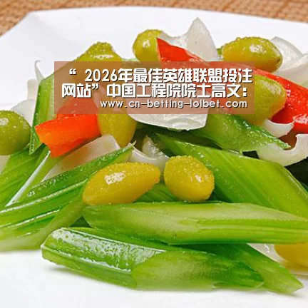 LoL投注网站 