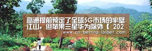 LoL投注网站 
