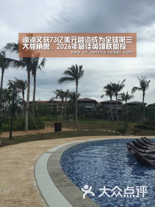 LoL投注网站 