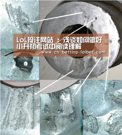 LoL投注网站 