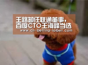 LoL投注网站 